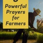 5 Powerful Prayers for Farmers written on a backdrop of a farmer tending the field