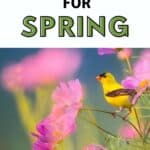 10 Uplifting Prayers for Spring
