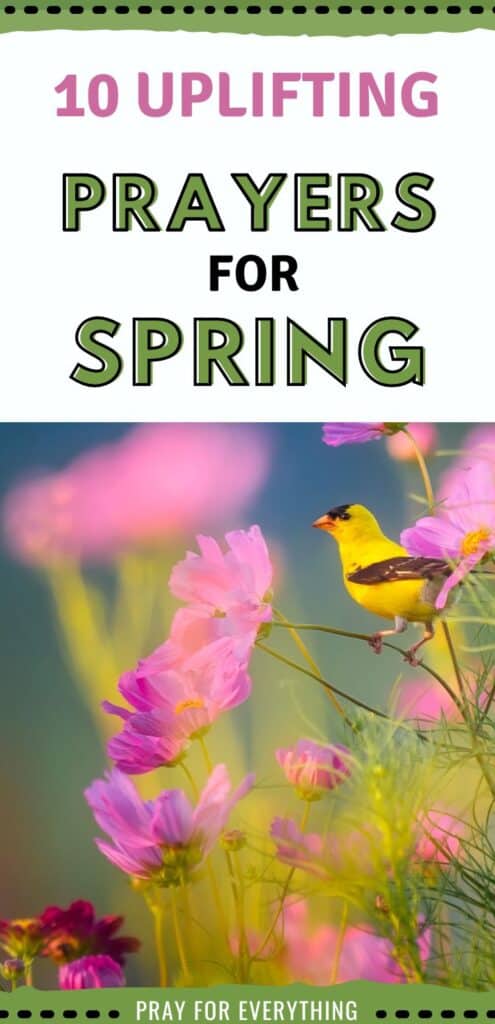 10 Uplifting Prayers for Spring