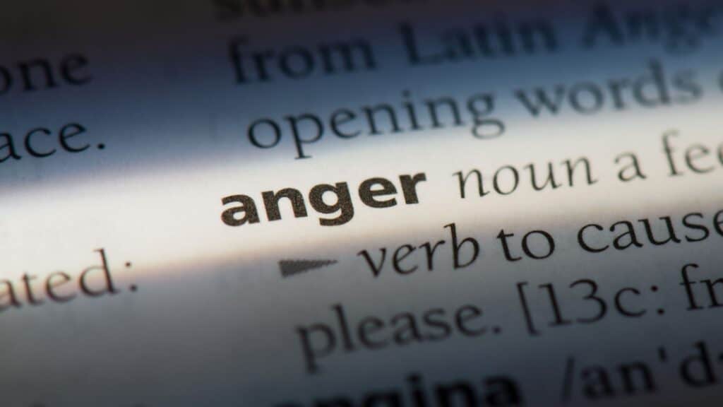 the word anger in the dictionary