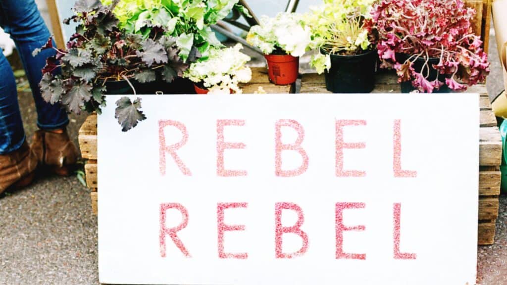 the word rebel rebel on a garden sign